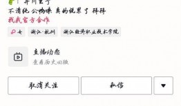 认真吃瓜网红是谁,网络红人的崛起与影响力